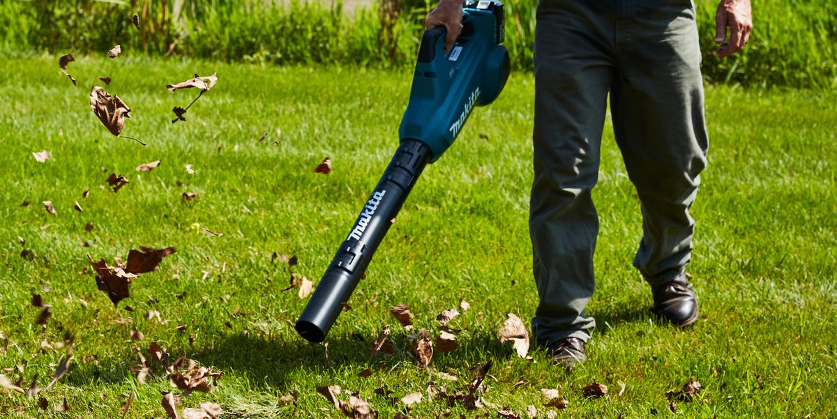 blower